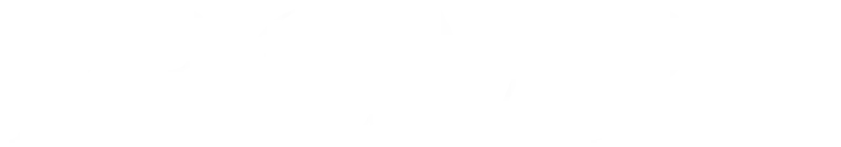 footer-logo